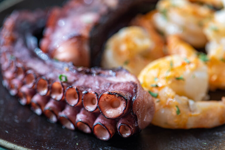 Octopus